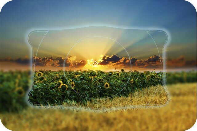 [can-biet]-phakic-icl-la-gi-loi-ich-cua-phau-thuat-phakic-icl